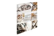 Mapper en Klemborden - HERMA 3-flap folder - for A4 - cats - 19212