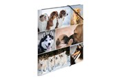 Mapper en Klemborden - HERMA 3-flap folder - for A4 - Honden - 19211