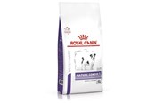 Honden - Royal Canin Volwassen Consult (Kleine Honden) 3,5 kg - 3182550782005