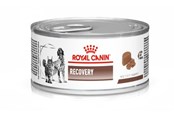 Honden - Royal Canin Vet Recovery Canine/Feline 195g: Dierenarts Herstel Canine/Feline 195g - 9003579307717