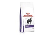 Honden - Royal Canin Adult Large Dog 13kg - 3182550925105