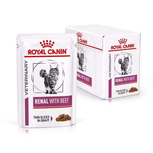 Katten - Royal Canin Renal with Beef Thin Slices In Gravy 85g (12-Pack) - 9003579000489