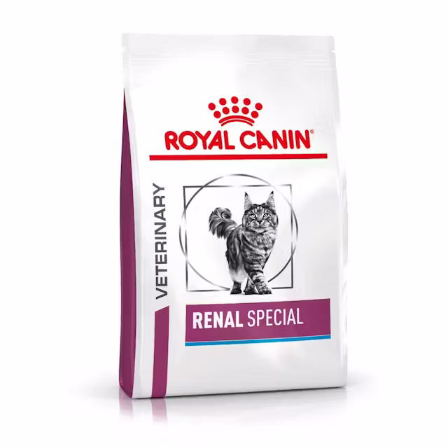 Katten - Royal Canin Renal Special Dry Food for Cats 400g - 3182550917049