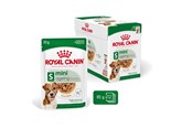 Honden - Royal Canin Mini Ageing Chunks in Gravy 85g (12-Pack) - 9003579008287