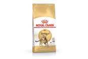 Katten - Royal Canin Bengal Adult 10kg - 3182550865111