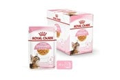 Katten - Royal Canin Kitten Sterilised Jelly 12 × 85 g - 9003579007167