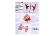 Lamineren - Olympia - laminated tape - 100 pcs. - A6 - 9178
