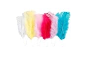 Schrijf- en tekenartikelen - Creativ Company Feathers in Various Colors 11-17cm 18pcs. - 518490