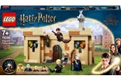 LEGO® - LEGO 76395 Hogwarts: Eerste Vliegles - 76395