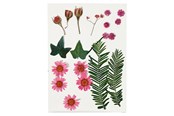 Schrijf- en tekenartikelen - Creativ Company Dried Flowers and Leaves Light Red 19 pcs. - 504471