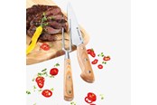 Keukengerei - Zassenhaus Carving set knife+fork - Z070828