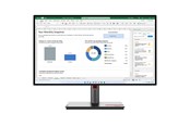 Scherm - 27" Lenovo ThinkVision P27h-30 - 2560x1440 - IPS - 100W USB HUB - LAN: DenkVision P27h-30 - 2560x1440 - IPS - 100W USB HUB - LAN - 63A1GAT1EU