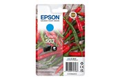 Inkt, toner en verbruiksartikelen - Epson 503 Singlepack - Cyaan - Original - Inkt cartridge - C13T09Q24010