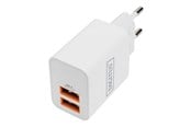 Mobiel - Adapters & Opladers - DIGITUS Stroom AV / multimedia paneel - 2 x USB - 15.5 Watt - DA-10061