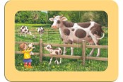 Puzzels - Ravensburger Exploring The Boerderij 3x6pcs - 05679