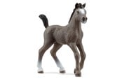 Schleich - Schleich Cheval de Selle Fr. foal - 13957