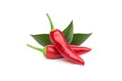 Smart Home - Click & Grow Smart Garden Refill 3-pack - Chili Pepper - SGR6X3