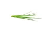 Smart Home - Click & Grow Slimme Tuin Navulling 3-pack - Bieslook - SGR38X3