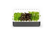 Smart Home - Click & Grow Smart Garden 9 Startpakket - SG9S8UNI