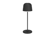 Lampen - EGLO Mannera Zwart - 900457