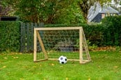 Voetbal en balspellen - Home Goal Classic Micro - 302100