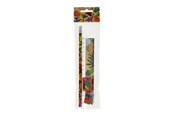 School accessoires - LG-Imports Writing set Dinosaur - 6585