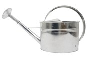 Tuin wateren - Home>it Watering Can with Rose Head 5 litres Galvanised - 91504
