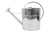 Tuin wateren - Home>it Watering Can with Spreader 10 liters Galvanized - 91506