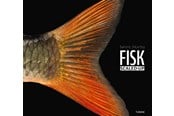 Natuur & Wetenschap - FISK – scaled-up - 9788740673579