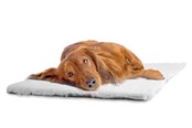 Honden - Dogman Mat Malva - 810060