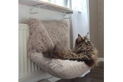 Katten - Dogman Gezellig radiatorbed voor katten - 804961