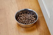 Honden - Dogman Heavy Roestvrijstalen Voerbak Metaal 1700ml - 369631