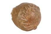 Honden - Trixie Chew ball 8cm - TX2673
