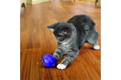 Katten - KONG Cat Treat Dispensing Ball 7.5cm - 340335