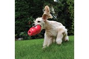 Honden - KONG Dog Toy Bounzer Medium 15cm - 340374