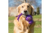 Honden - KONG Hondenspeeltje Wubba Assorted Colors Large 32cm - 340461