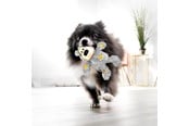 Honden - KONG Hondenspeeltje Wild Knots Bear Assorti Kleuren XS 10cm - 340492