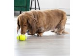 Honden - KONG Hondenspeeltje AirDog Squeaker Football Small 8cm - 340528