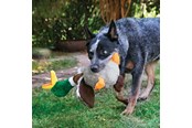 Honden - KONG Dog Toy Shakers Honkers Duck Large 45cm - 340777