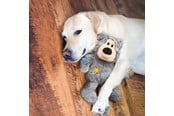 Honden - KONG Hondenspeeltje Wild Knots Bear XLarge 30cm - 340820