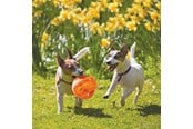 Honden - KONG Dog Toy Jumbler Ball Medium/Large 14cm - 340917