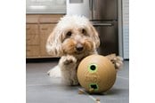 Honden - KONG Dog Toy Bamboo Feeder Dumbbell M - 340925