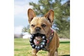 Honden - KONG Dog Toy Extreme Ring XL 13cm - 340926