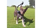 Honden - KONG Dog Toy Extreme Dental W/Rope Medium - 340930