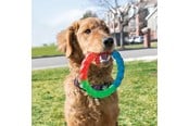 Honden - KONG Dog Toy Twistz Ring Small 17cm - 340938