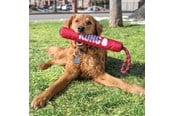 Honden - KONG Hondenspeelgoed Signature Stick met touw 30cm - 340941