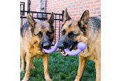 Honden - KONG Hondenspeeltje Ogee Stick 30cm - 340947