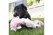 Honden - KONG Dog Toy Low Stuff Flopzie Fox 48cm - 340972