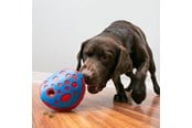 Honden - KONG Activation Toy Rewards Wally - 341014