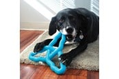 Honden - KONG Dog Toy Flyangle Assorted Colors Large - 341015